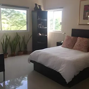 https://12-de-octubre.cabosanlucashotelsmexico.com